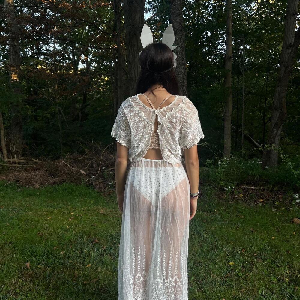 Antique Sheer Embroidered Net Lace Ensemble - image 5